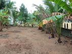 Land for Sale in Gampaha