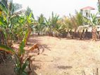 Land for Sale in Gampaha