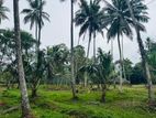 Land for Sale in Gampaha