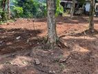 Land for Sale in Gampaha