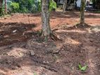 Land for Sale in Gampaha