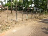 Land for Sale in Gampaha