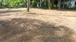 Land for Sale in Gampaha