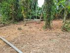 Land for Sale in Gampaha