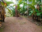Land for Sale in Gampaha