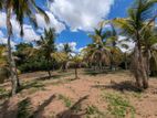 Land for Sale in Gampaha