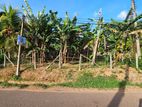 Land for Sale in Gampaha