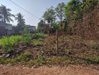 Land for Sale in Gampaha