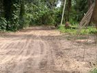 Land for Sale in Gampaha