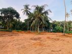 Land for Sale in Gampaha