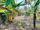 Land for Sale in Gampaha