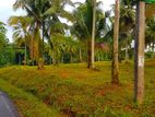 Land for Sale in Gampaha Kirindiwela