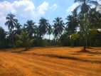 Land for Sale in Gampaha Kirindiwela