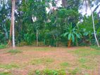 Land for Sale in Gampaha Kirindiwela