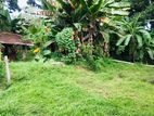 Land for Sale in Gampaha, Kossinna