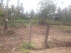 Land for Sale in Gampaha | Minuwangoda