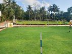 Land for Sale in Gampaha Mirigama Y 06