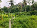 Land for Sale in Gampaha Miriswaththa