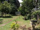 Land for Sale in Gampaha Miriswatta