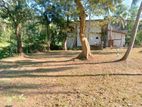 Land for Sale in Gampaha Miriswatta Y138