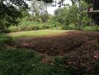 Land for Sale in Gampaha Moragoda