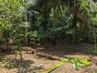 Land for sale in Gampaha Naiwala