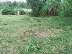 Land For Sale In Gampaha Nedungamuwa