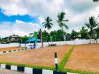 Land for Sale in Gampaha Nittabuwa