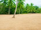 Land for Sale in Gampaha Nittambuwa- Y 131