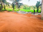Land for Sale in Gampaha Nittambuwa Y 15
