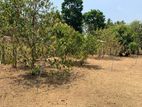 Land For Sale in Gampaha (SSPL-155)