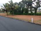 Land for sale in Gampaha Town