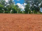 Land for Sale in Gampaha - Udugampola