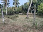 Land for Sale in Gampaha Udugampola