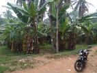Land for Sale in Gampaha Weliweriya