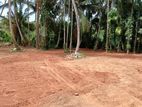 Land for sale in gampaha yakjala
