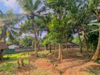 Land for Sale in Gampaha - YS 16303