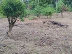 Land for sale in Gampaha,Dompe