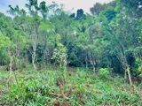 Land for Sale in Gampola