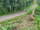 Land for Sale Gampola