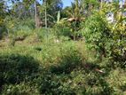 Land for Sale in Gampola