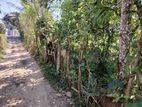 Land for Sale in Gampola