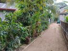 Land for Sale in Gampola