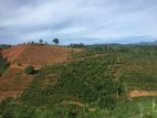 Land for Sale in Gampola