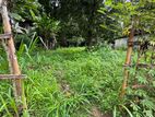 Land for Sale in Gampola