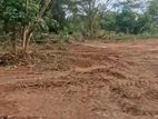 Land for Sale in Ganemulla, Bollatha