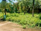 Land for sale in ganemulla / CH 13992