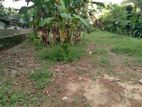 Land For sale in Ganemulla