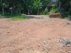 Land for Sale in Ganemulla