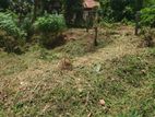 Land For Sale In Ganemulla